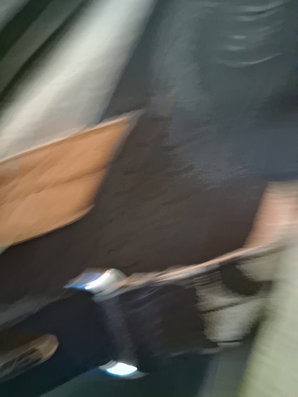 Coach Black and Tan Signature Logo Thong Sandals - Picture 3 of 6